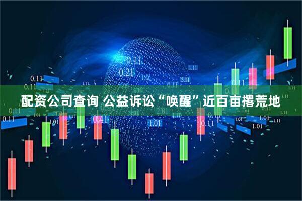 配资公司查询 公益诉讼“唤醒”近百亩撂荒地