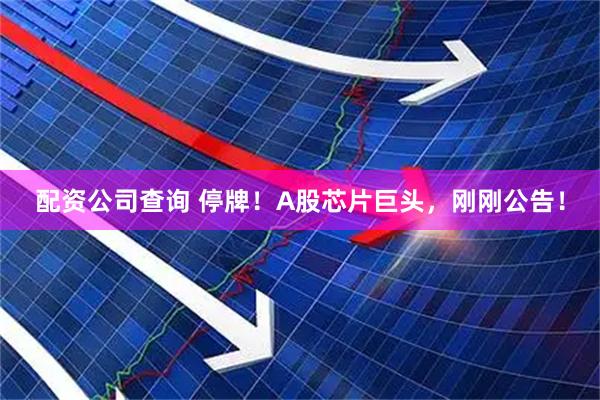 配资公司查询 停牌！A股芯片巨头，刚刚公告！
