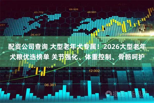 配资公司查询 大型老年犬专属!2026大型老年犬粮优选榜单 关节强化、体重控制、骨骼呵护